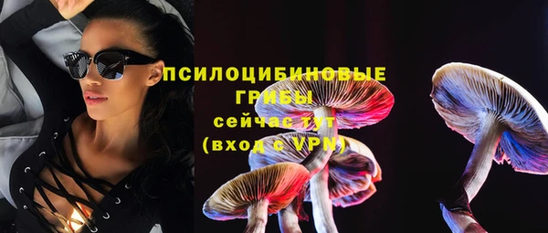 гашик Вязьма