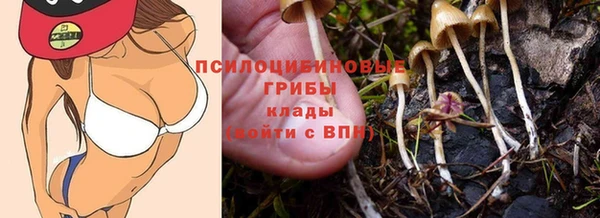 соль ск Горно-Алтайск