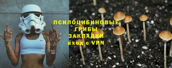 mdpv Горнозаводск